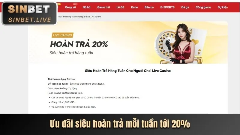 Ưu Đãi Hấp Dẫn Dành Cho Thành Viên Mới 2026